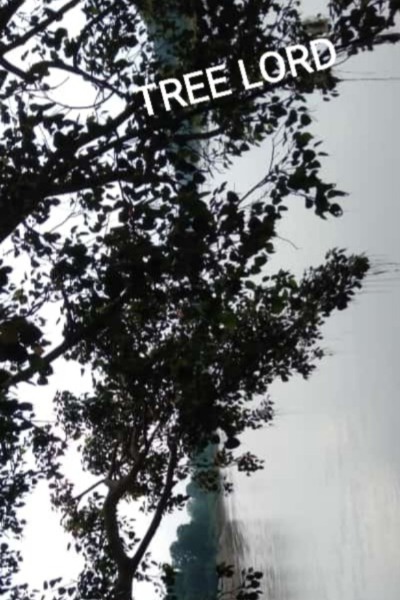 Tree lord