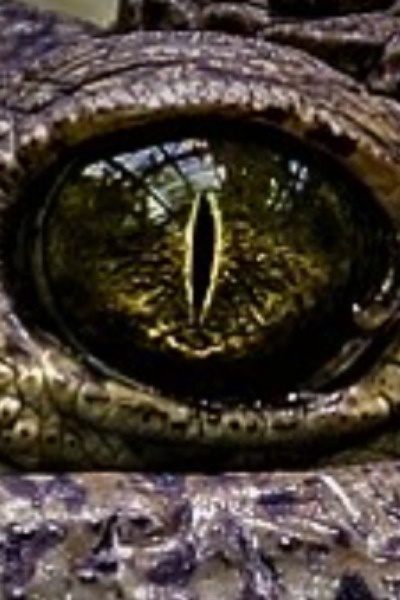 The Tales of Abanim - Testing the Waters - Book 1