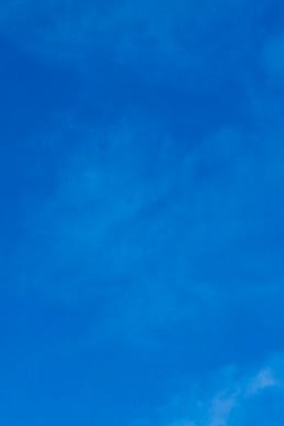 The Reincarnation of The Emperor's Son : Living the Fantasy in the New World