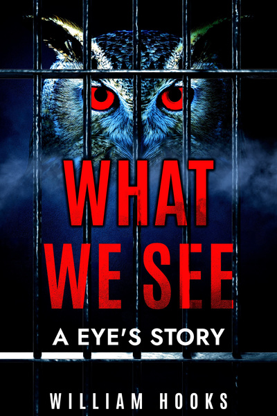 What We See: An Eye's Story
