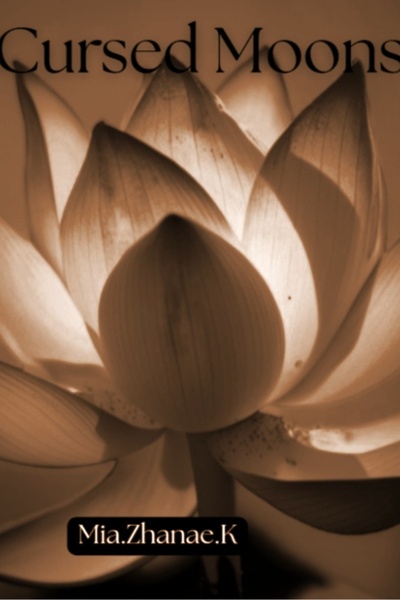 Heaven's Light Series