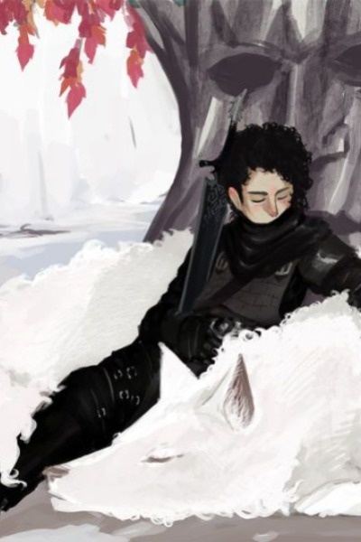 Jon Snow, Timelooper