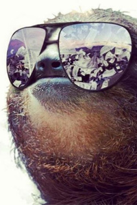 A guy reincarnated as a sloth and is too lazy to be a protagonist