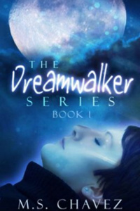 The DreamWalker Series