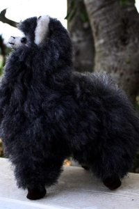 Is your Mama and Llama