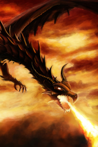 The Dragon Rider's Dragon