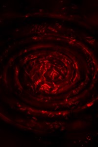 Survive - Terror Infinity Fanfic