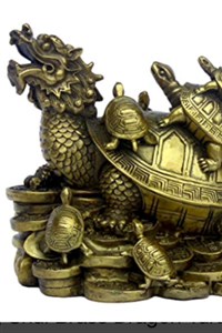 The evolution of a turtle (Dropped)