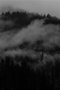 World Of Darkness