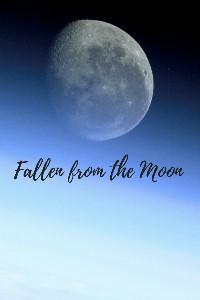 Fallen from the Moon