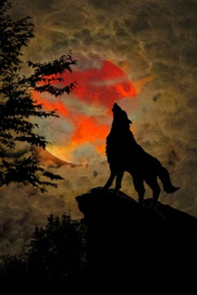 Doomsday Madness: Going Wild