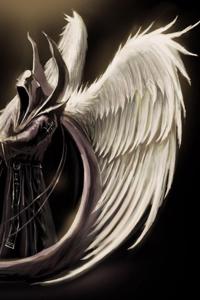 The Goddess of Death's Champion [OLD]