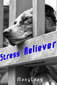 Stress Reliever